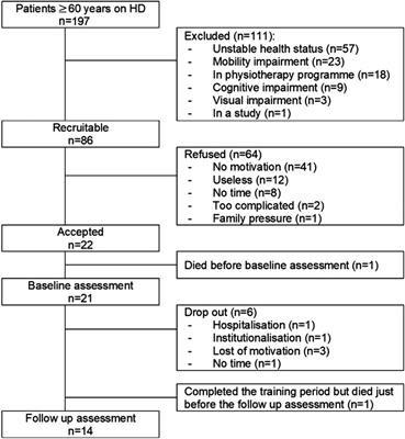 A blended e-health intervention for improving functional capacity in elderly patients on haemodialysis: A feasibility study